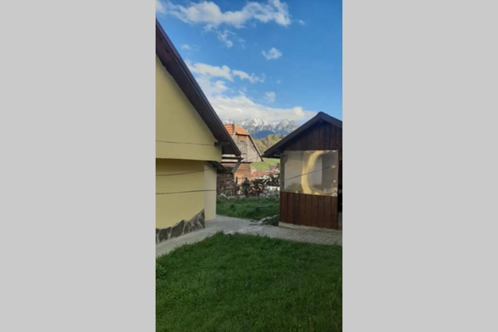 Casa In Curte La Zavate Villa Bran  Eksteriør billede