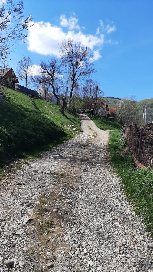 Casa In Curte La Zavate Villa Bran  Eksteriør billede